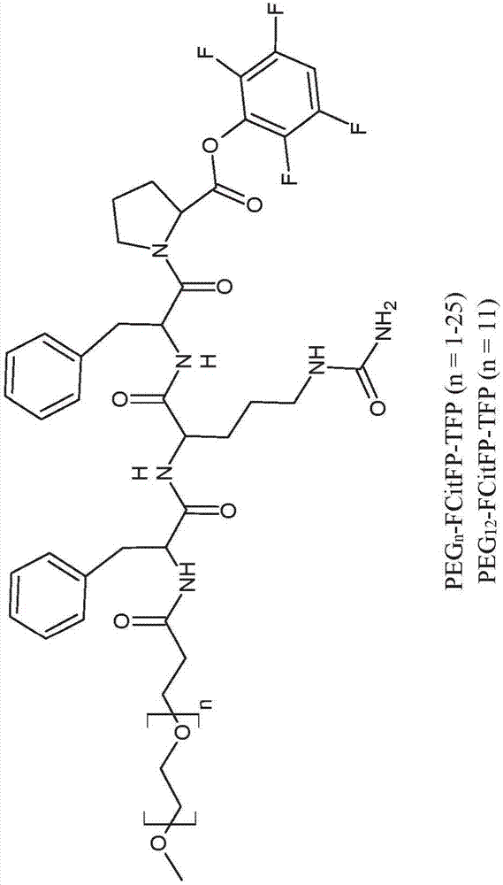 美军上将预言乐成:全球这三个国家的战力最强 其他都不值一提!:火狐电竞官方网站(图3) 火狐电竞官网