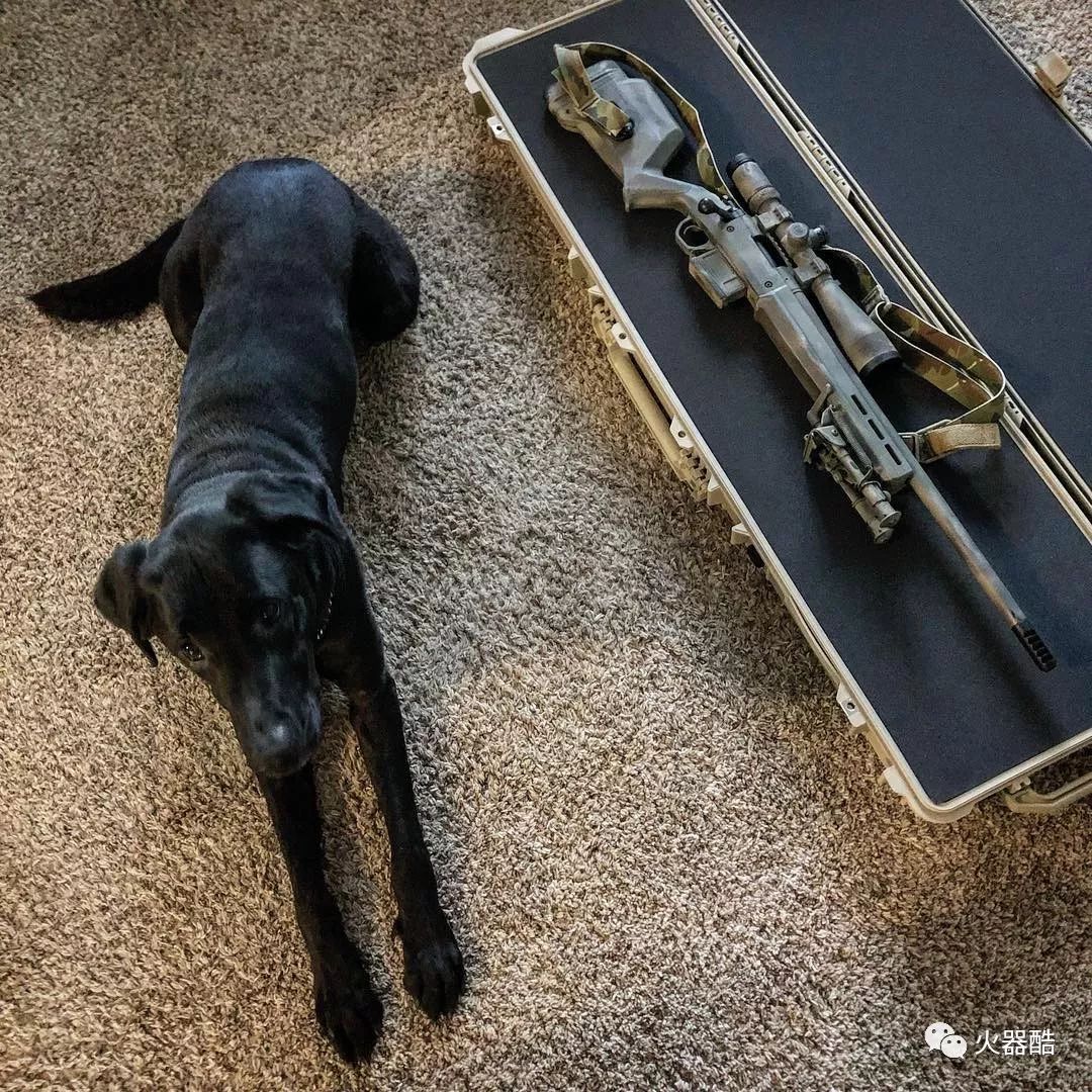 美军上将预言乐成:全球这三个国家的战力最强 其他都不值一提!:火狐电竞官方网站(图8) 火狐电竞