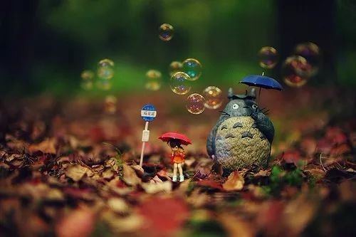 真的受够了!香港市民躲去深圳透口气_火狐电竞官方网站(图4) 火狐电竞官方网站