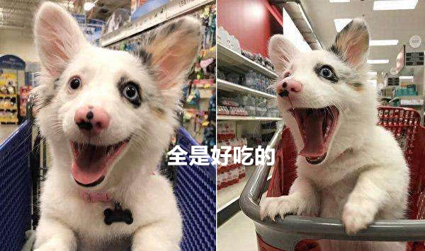 “火狐电竞官网”军事丨北方工业停产生产CQ步枪,则获得M1911手枪的图纸航班起飞转错方(图1) 火狐电竞官网