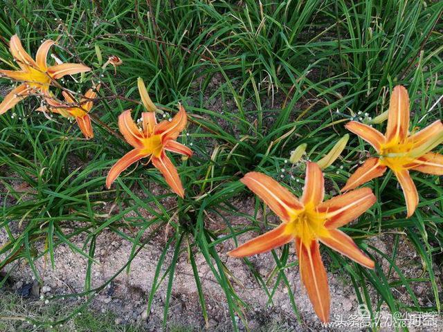 咸阳个性化办公室装修设计图_火狐电竞官方网站(图2) 火狐电竞官网