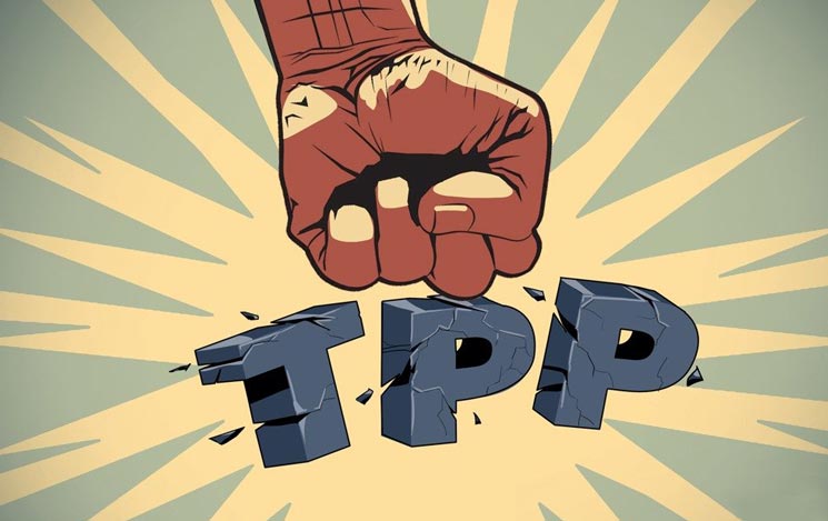 印度本土化生产苏-30MKI遭重创飞机工厂或关闭:火狐电竞(图2) 火狐电竞官方网站