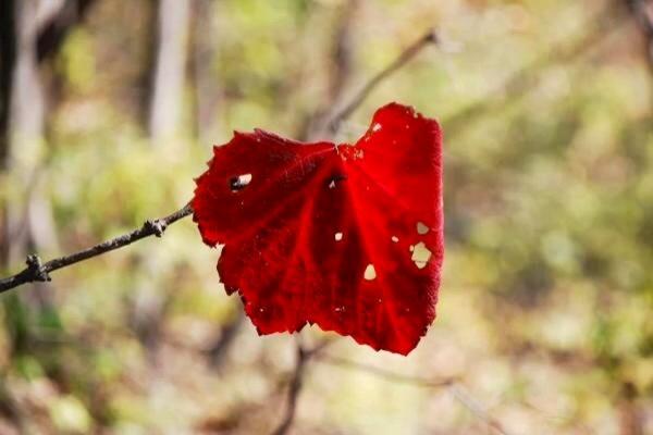 【火狐电竞官网】守初心担使命共圆伟大中国梦(图3) 火狐电竞官网