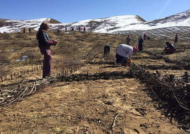 火狐电竞官网:河南荥阳河务局为长管袋褥垫结构坝出险机理研究定方案(图1) 火狐电竞官方网站