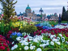 【火狐电竞】“台独”组织骨干李孟居在深圳被捕(图3) 火狐电竞