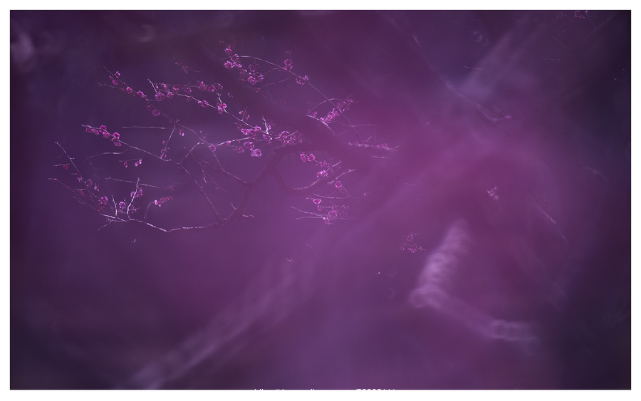 外媒:220架F35要常驻亚太中国将部署200架歼20对抗:火狐电竞官网(图1) 火狐电竞官网