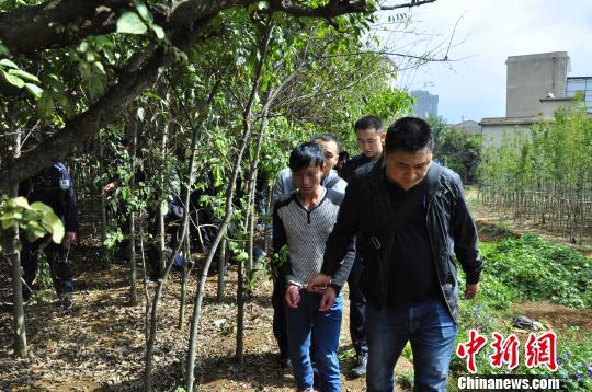 法学学科最好的7所大学 第一海内权威 五院四系占据多数“火狐电竞”(图1) 火狐电竞官网